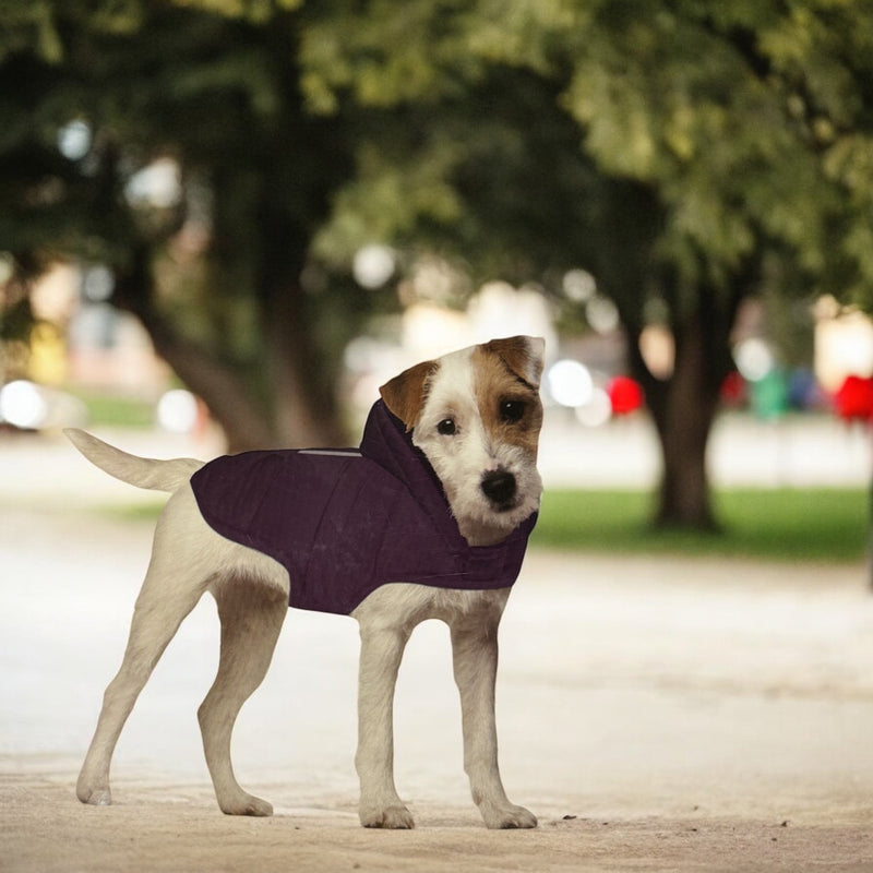 DOG DOWN COAT